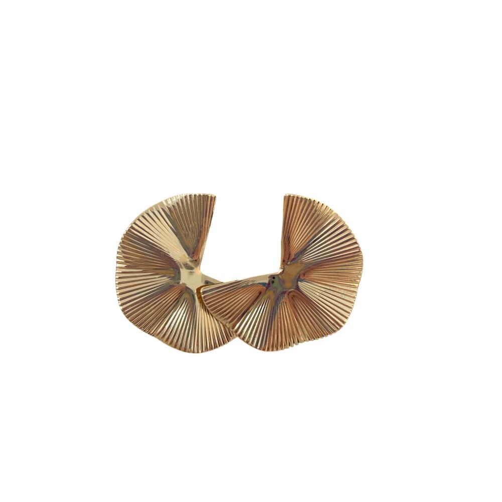 Fan earrings